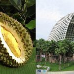 Is biomimicry essential for architects? - Sheet3