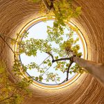 Freedom to design: How is the youth designing their spaces in the 21st century - Sheet6