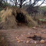 Building Man Through Built-world - Sheet3