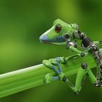 How is biomimicry different from biophilia? - Sheet1