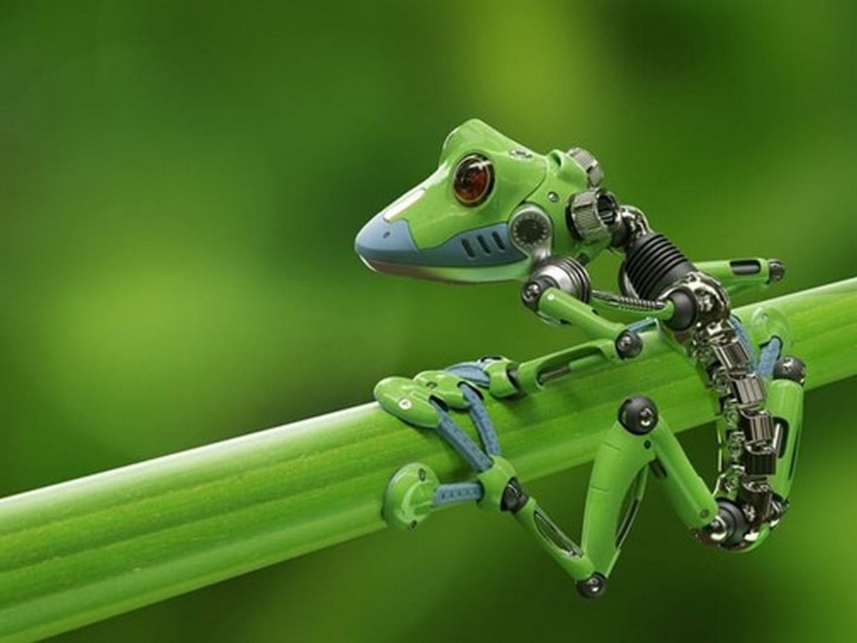 How is biomimicry different from biophilia? - Sheet1