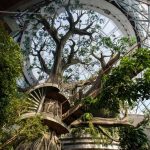 How is biomimicry different from biophilia? - Sheet3