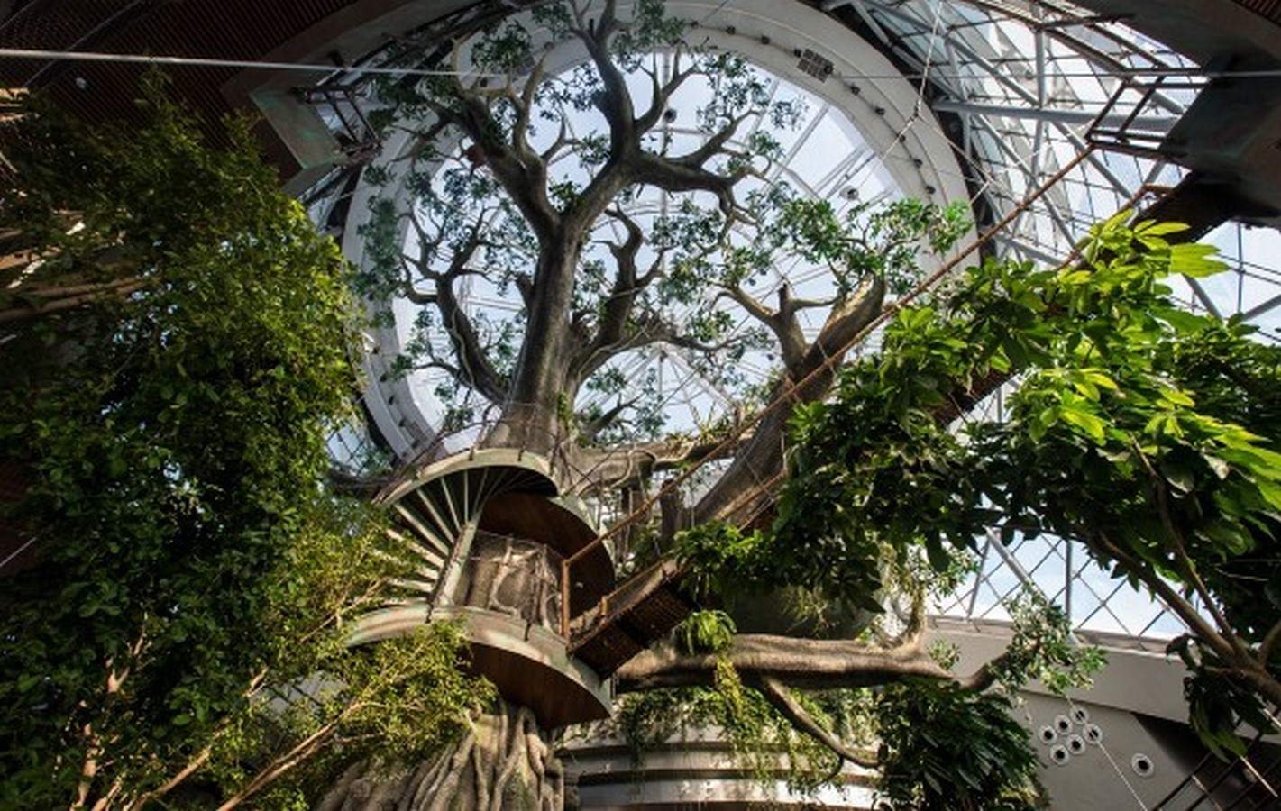 How is biomimicry different from biophilia? - Sheet3
