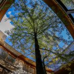 25 Examples of Rehabilitation centre around the world - Sheet5