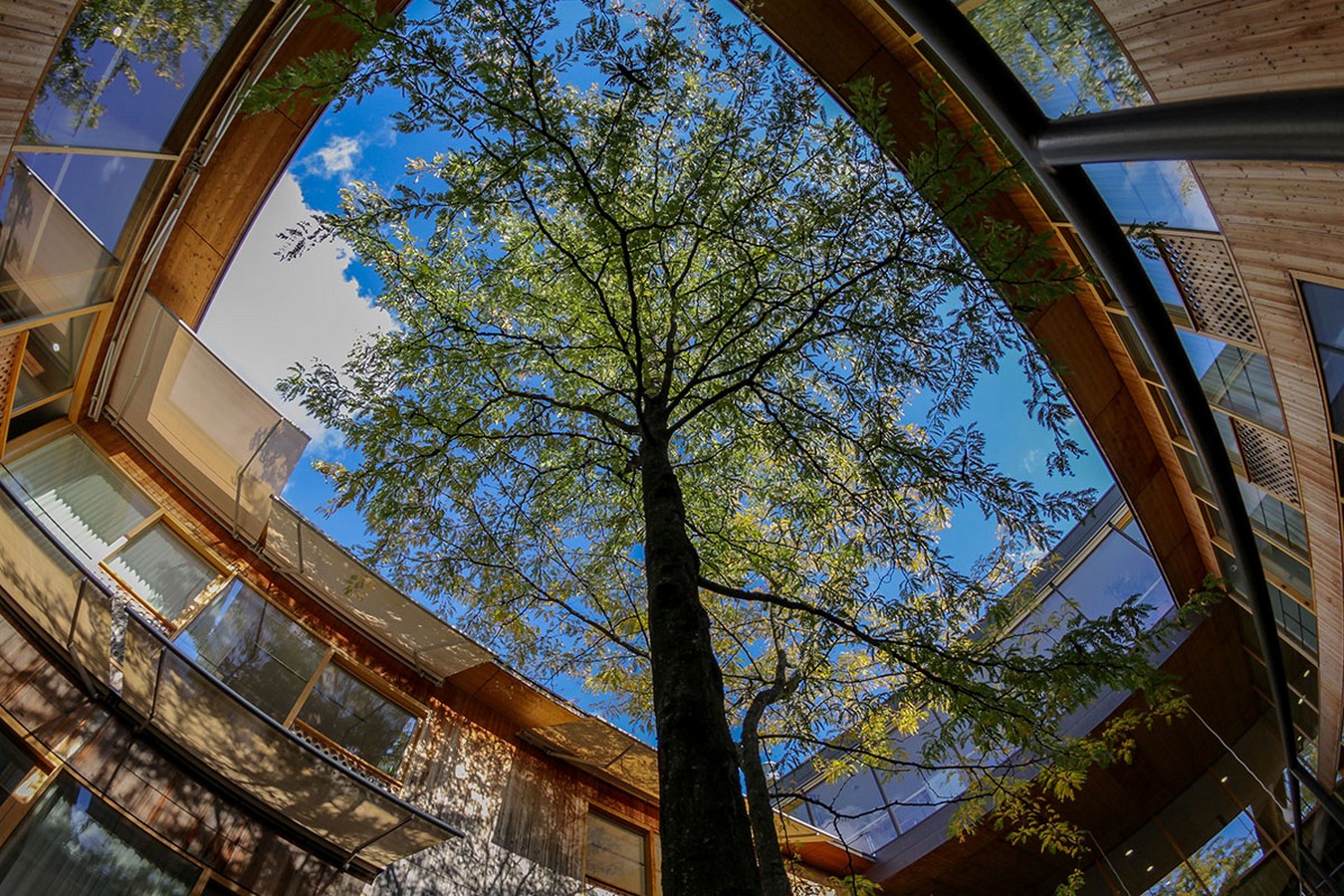25 Examples of Rehabilitation centre around the world - Sheet5