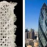 Reasons you should start using biomimicry in your design projects right now! - Sheet2