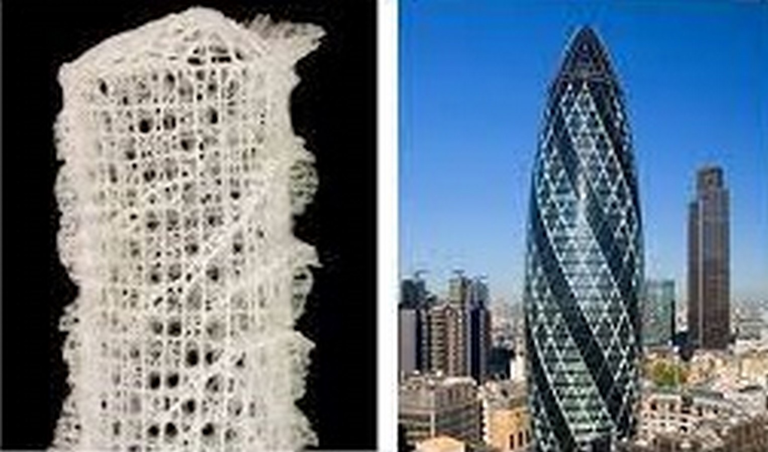 Reasons you should start using biomimicry in your design projects right now! - Sheet2