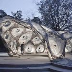 Reasons you should start using biomimicry in your design projects right now! - Sheet6