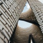 Reasons you should start using biomimicry in your design projects right now! - Sheet7