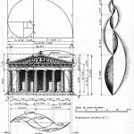 Theory in Architecture: Vitruvian module - Sheet8