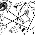Relations of human senses with public spaces - Sheet5
