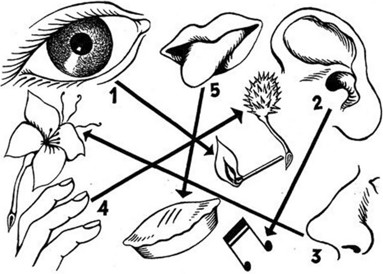 Relations of human senses with public spaces - Sheet5