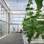 Agrotopia By Van Bergen Kolpa architects - Sheet5