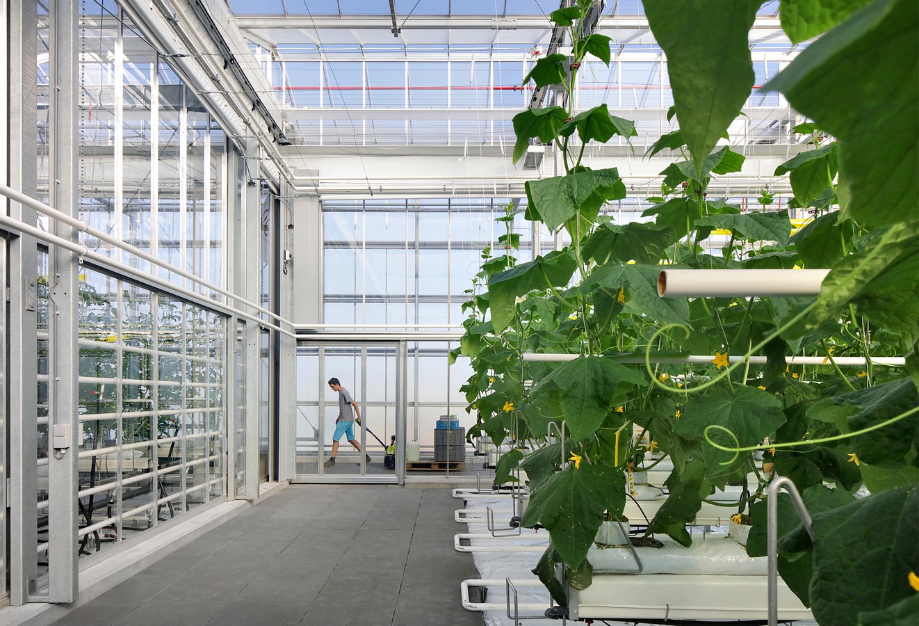 Agrotopia By Van Bergen Kolpa architects - Sheet5
