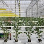 Agrotopia By Van Bergen Kolpa architects - Sheet7