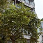 Aura By A.J Architects - Sheet2