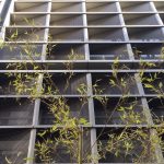 New Building for the School of Architecture By XU XIAOJIA - Sheet6