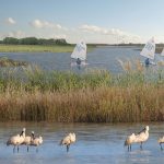 Nieuw Land National Park By Mecanoo - Sheet6