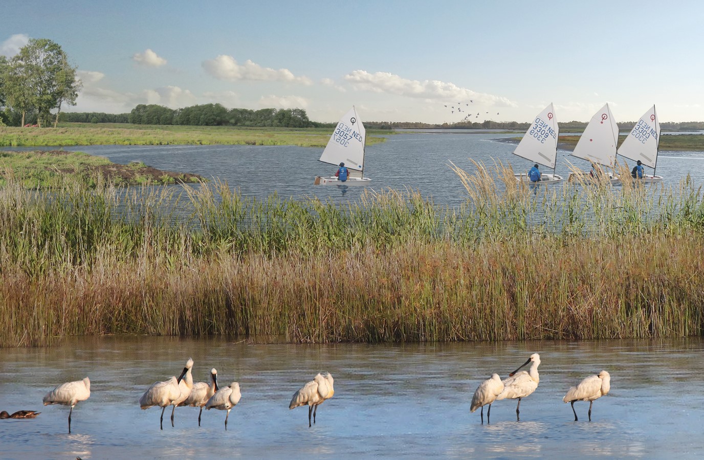 Nieuw Land National Park By Mecanoo - Sheet6