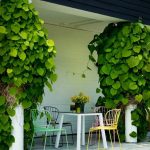 10 Outdoor Chairs everyone should invest in - Sheet8