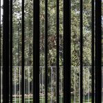 House J By Avanto Architects Ltd - Sheet10