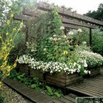 Book in Focus: The Garden Design Book by Anthony Paul and Yvonne Rees - Sheet6