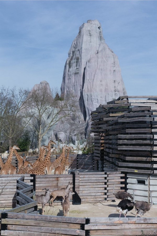 Paris Zoological Park by Bernard Tschumi Architects: Restoring experiences - Sheet5