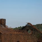 The Vanished House By Hu Quanchun - Sheet9