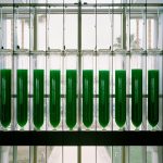 BioFactory By ecoLogicStudio - Sheet5