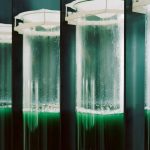 BioFactory By ecoLogicStudio - Sheet8