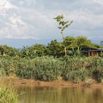 Etania Green School By Architecture BRIO - Sheet4