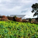 House in Lousado By Correia-Ragazzi Arquitectos - Sheet11