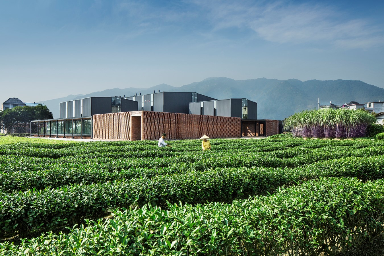 Brown Sugar Factory By DnA_Design and Architecture - Sheet6