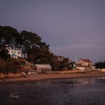 The Pottering Shed By Studio MUTT - Sheet7