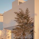 NATURA By COTAPAREDES Arquitectos - Sheetv3