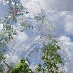 Invisible Garden House By SHJWORKS - Sheet