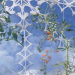 Invisible Garden House By SHJWORKS - Sheet7