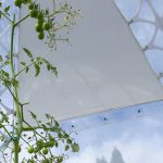 Invisible Garden House By SHJWORKS - Sheet9