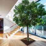 The Cutting-Edge House By PAG Pracownia Architektury Głowacki - Sheet2