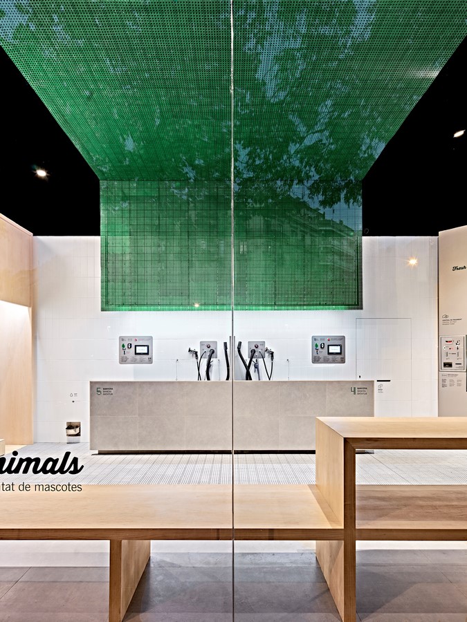 Fresh Animals By Frederic Perers Studio - Sheet3