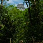 Lost in Time Tikal, Guatemala - Sheet7