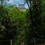 Lost in Time Tikal, Guatemala - Sheet7