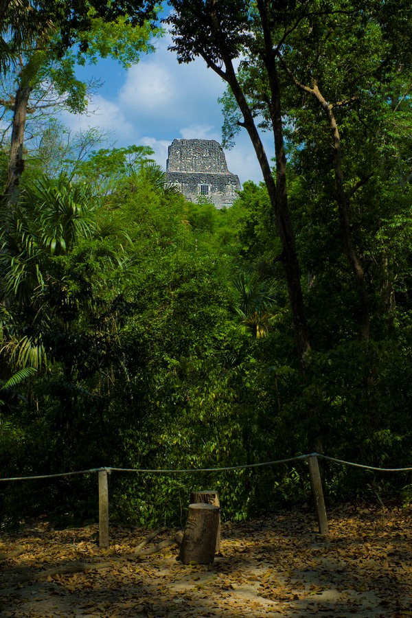 In the middle of Tikal National Park_©whc.unesco.org