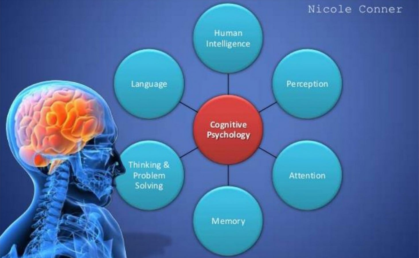 Cognitive psychology_©Berlin Bauen