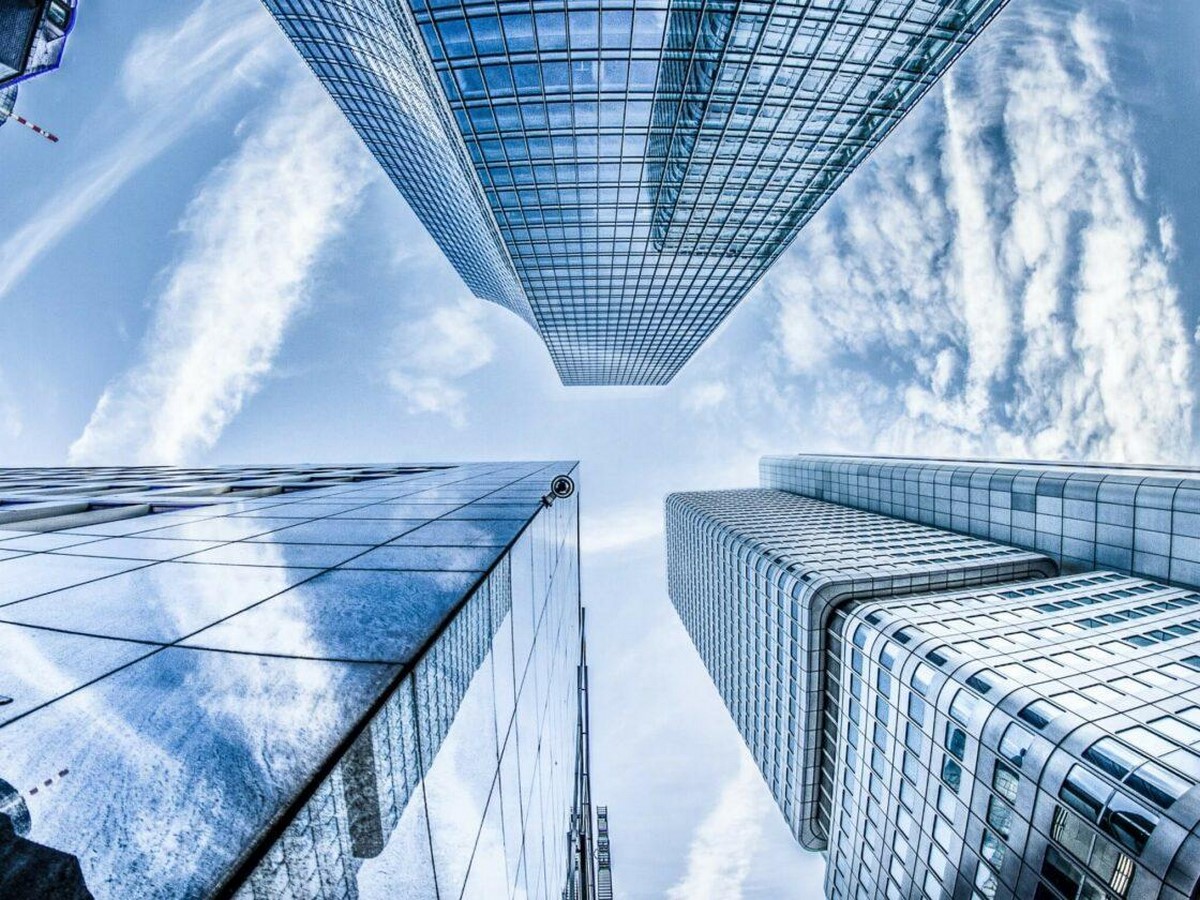 Architecture: Growing through Perspectives - Sheet1