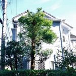 Architects in Machida - Top 10 Architects in Machida - Sheet7