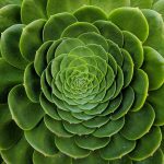 Fractal Geometry in Architecture - Sheet2