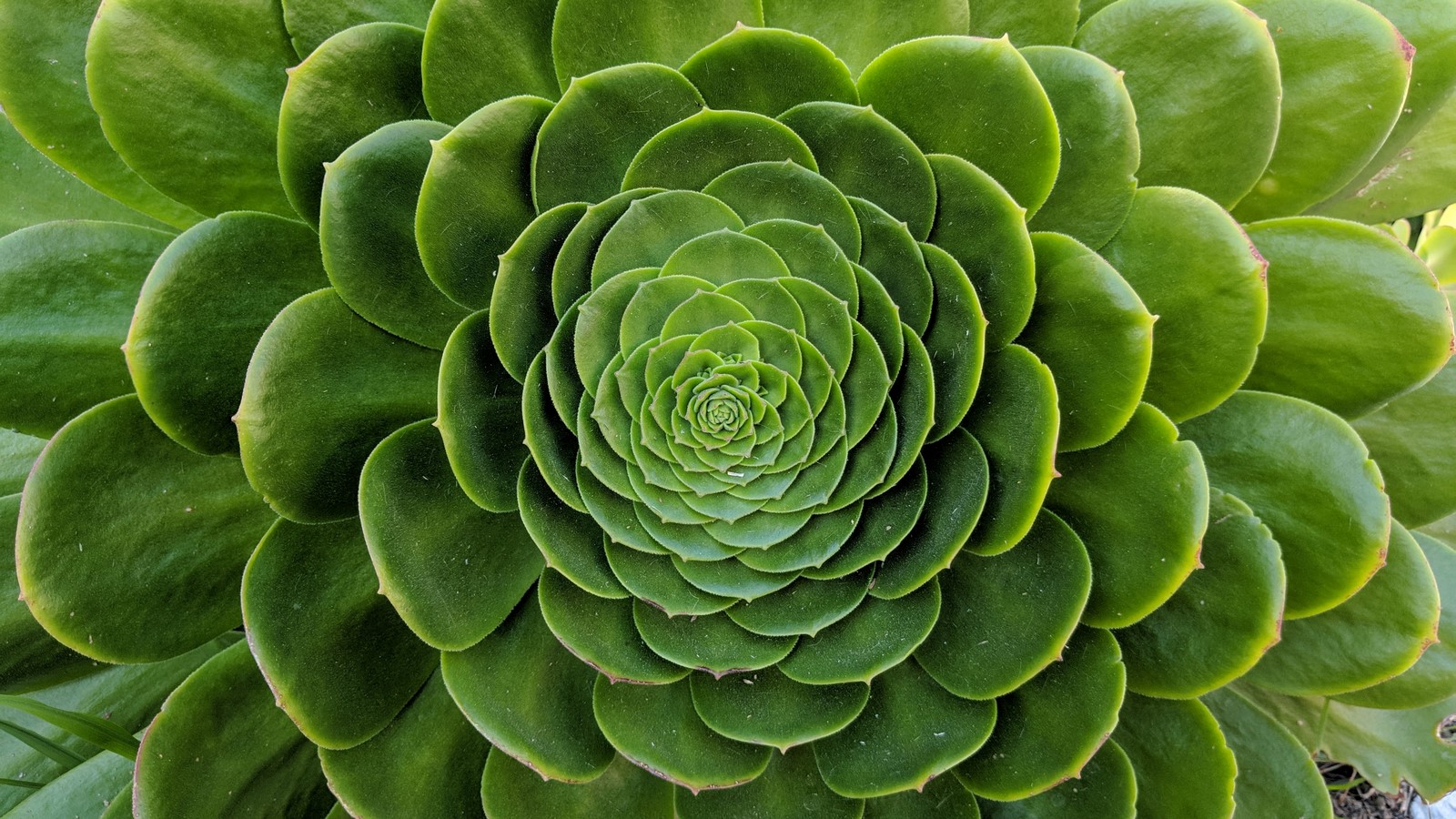 Fractal Geometry in Architecture - Sheet2
