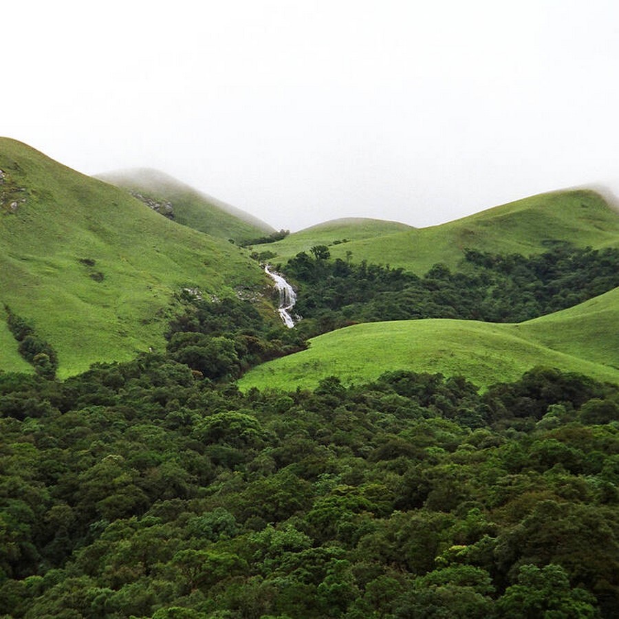 How will future Urbanization impact the practicing of conservation - Sheet2