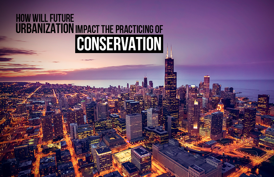 How will future Urbanization impact the practicing of conservation